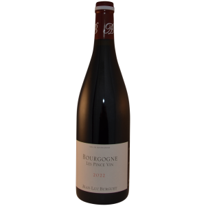 Bourgogne Les Pins Vin, Domaine Jean-Luc & Burguet 2022 75 cl